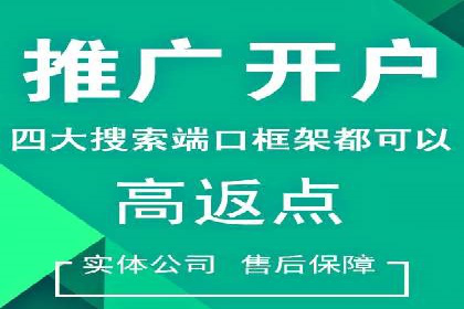 SEM服务案例：提升网站流量